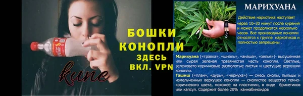 PSILOCYBIN Верея