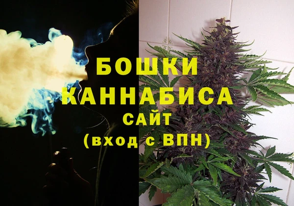 PSILOCYBIN Верея